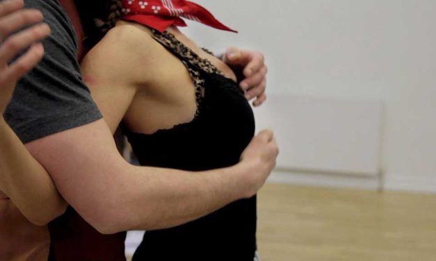 Audition Notice The Romany Theatre Company