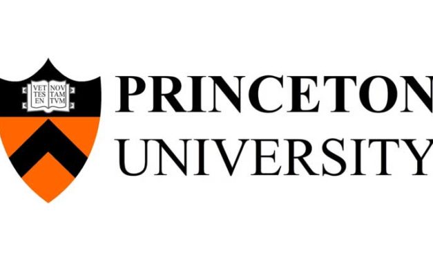 Mellon Visiting Fellow in Architecture, Urbanism and the Humanities