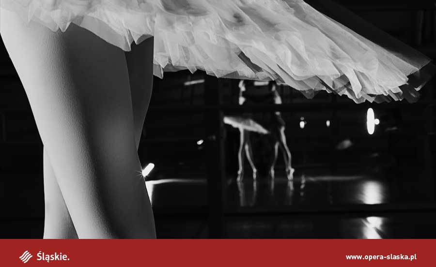 Audition Notice The Silesian Opera