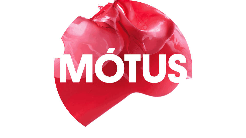 Call Out for Performers Motus