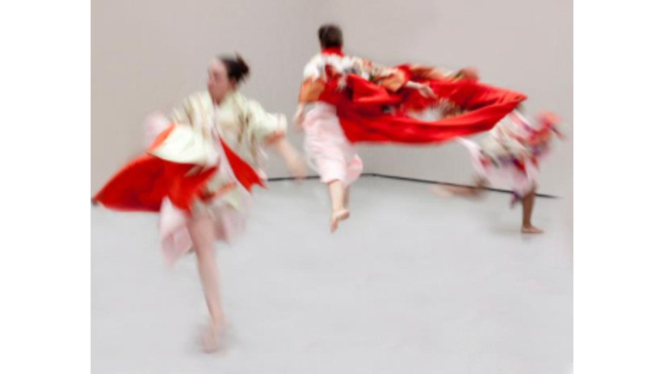 Online Horton Technique Classes for Black Lives Matter