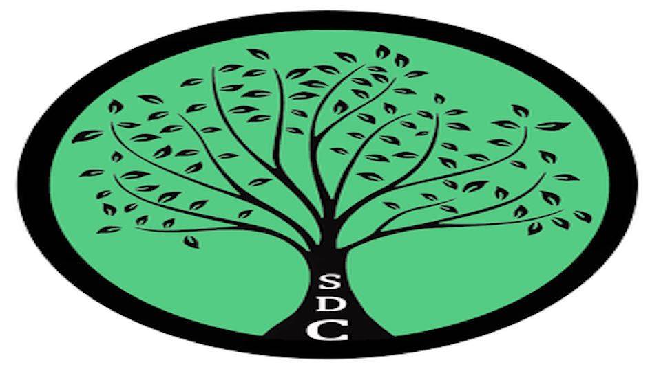 Sketch Dance Co Seeking Dancers