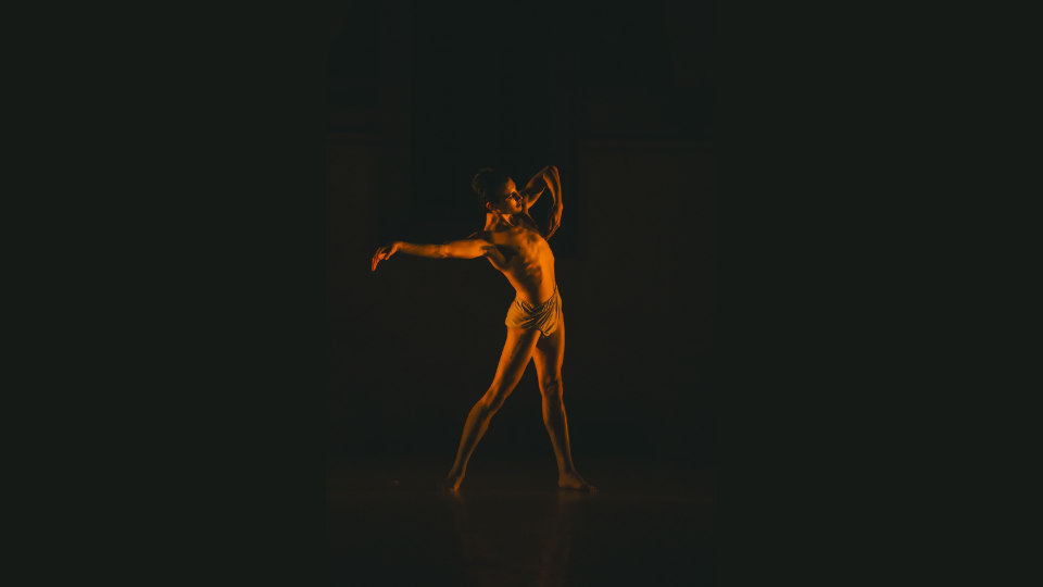 Adi Schwarz Dance Project Creation Summer Intensive at Dap Festival