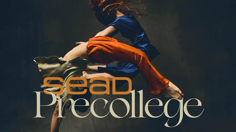 SEAD PreCollege