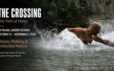 The Crossing The Path of Water Dance, Walking & Embodied Nature 2026