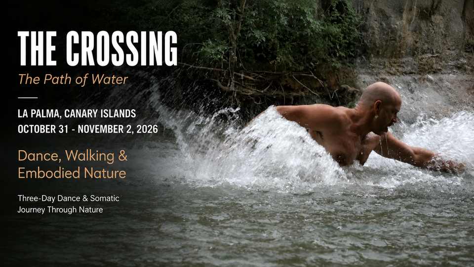 The Crossing The Path of Water Dance, Walking & Embodied Nature 2026