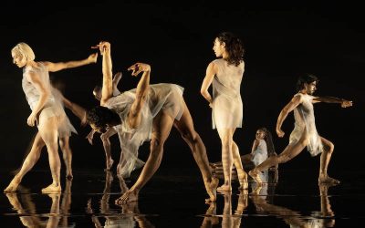 Audition Notice Company Wayne McGregor