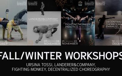 Workshop Intensives: URSina Tossi / Landerer & Company / Fighting Monkey / Decentralized Choreography (Michael Lohr / Emanuel Gat)