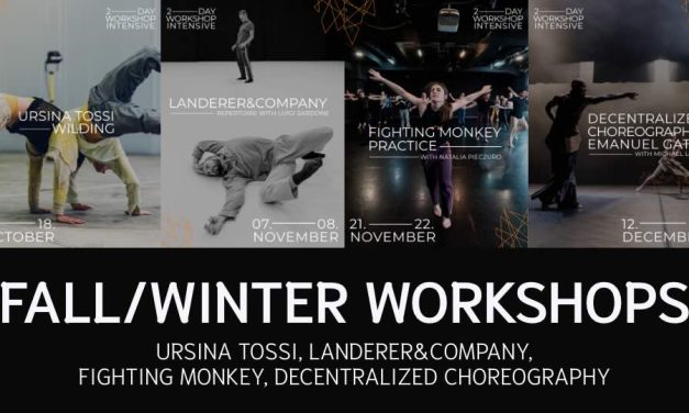 Workshop Intensives: URSina Tossi / Landerer & Company / Fighting Monkey / Decentralized Choreography (Michael Lohr / Emanuel Gat)