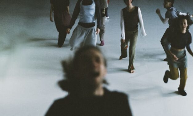 Audition Notice Dresden Frankfurt Dance Company