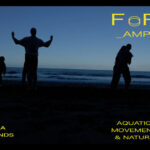 Forest. Amphibious Bodies