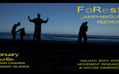 Forest. Amphibious Bodies