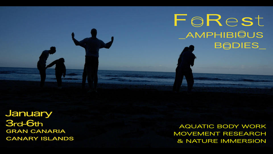 Forest. Amphibious Bodies