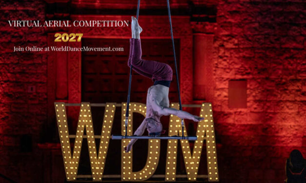 WDM Virtual Aerial Competition 2027